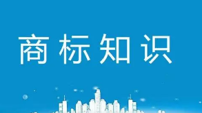 真粽子裝進假禮盒？侵犯五芳齋商標，法院判了！—青島商標注冊